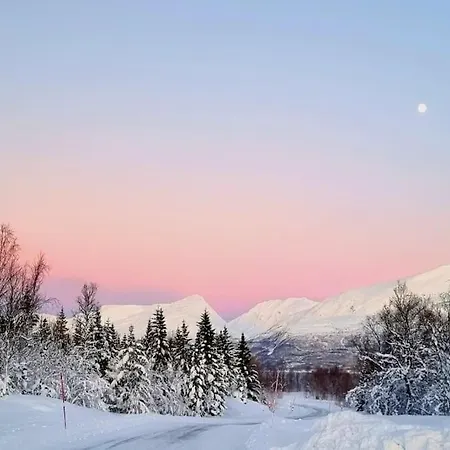 Holiday home Lillehytta Aroybuktneset